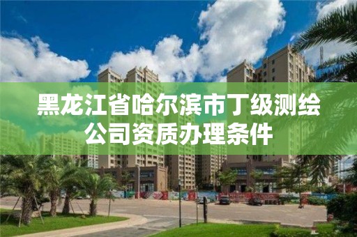 黑龍江省哈爾濱市丁級測繪公司資質辦理條件