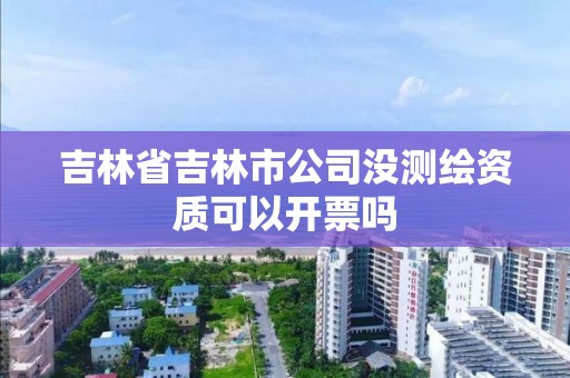 吉林省吉林市公司沒測繪資質可以開票嗎