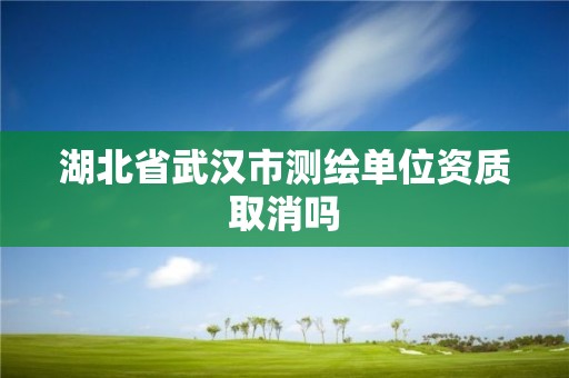 湖北省武漢市測繪單位資質(zhì)取消嗎