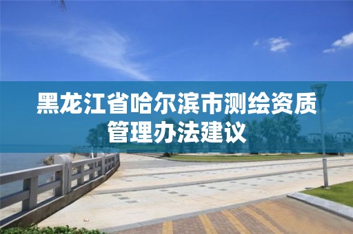 黑龍江省哈爾濱市測繪資質管理辦法建議