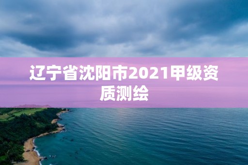 遼寧省沈陽市2021甲級資質(zhì)測繪