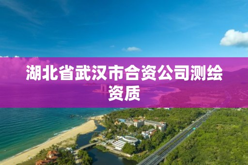 湖北省武漢市合資公司測繪資質