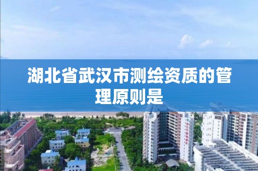 湖北省武漢市測繪資質的管理原則是