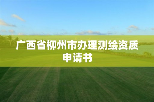 廣西省柳州市辦理測繪資質申請書