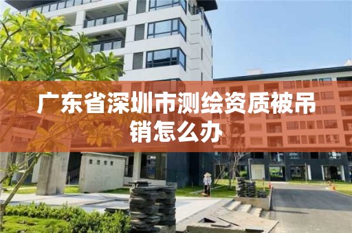 廣東省深圳市測繪資質被吊銷怎么辦