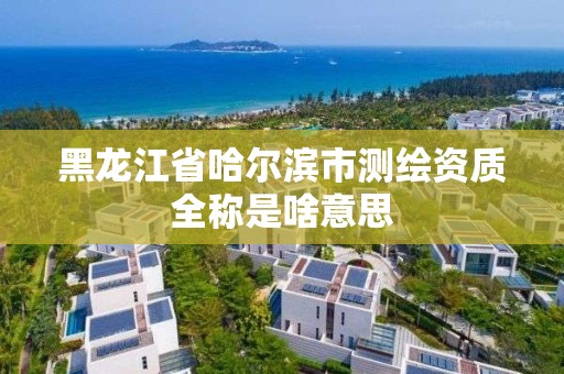 黑龍江省哈爾濱市測繪資質全稱是啥意思