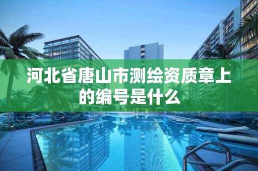 河北省唐山市測繪資質章上的編號是什么