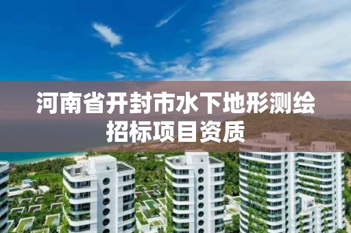 河南省開封市水下地形測繪招標項目資質