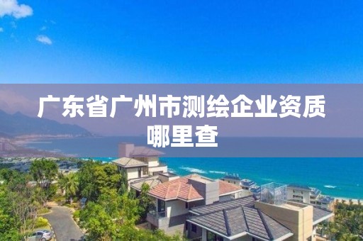 廣東省廣州市測繪企業資質哪里查