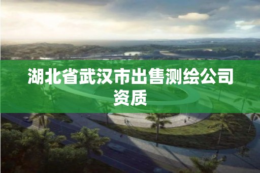 湖北省武漢市出售測繪公司資質