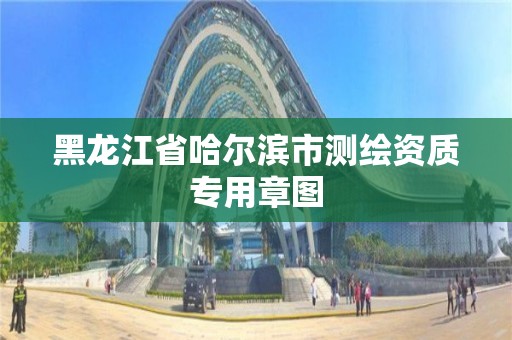 黑龍江省哈爾濱市測繪資質(zhì)專用章圖