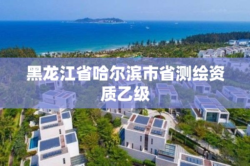 黑龍江省哈爾濱市省測繪資質乙級