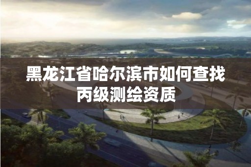 黑龍江省哈爾濱市如何查找丙級測繪資質