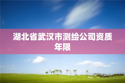 湖北省武漢市測(cè)繪公司資質(zhì)年限