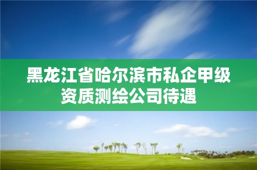 黑龍江省哈爾濱市私企甲級資質測繪公司待遇