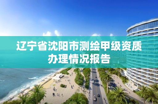 遼寧省沈陽市測繪甲級資質辦理情況報告