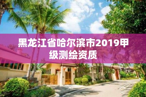 黑龍江省哈爾濱市2019甲級測繪資質(zhì)