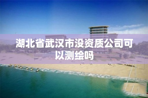 湖北省武漢市沒資質公司可以測繪嗎