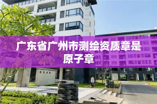 廣東省廣州市測繪資質章是原子章