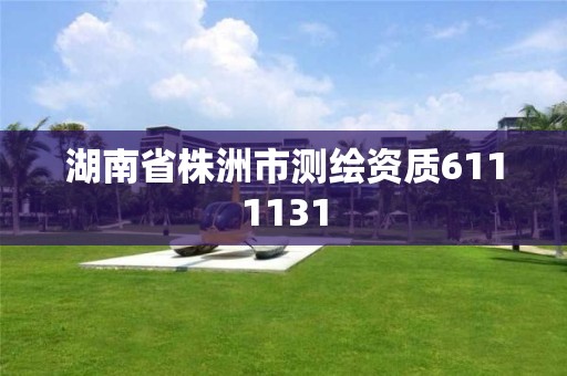 湖南省株洲市測繪資質(zhì)6111131