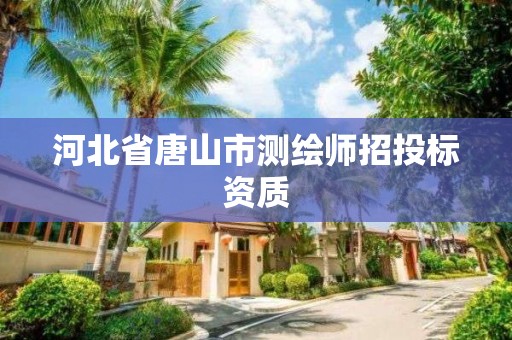 河北省唐山市測繪師招投標資質