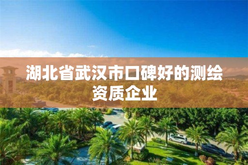 湖北省武漢市口碑好的測繪資質企業