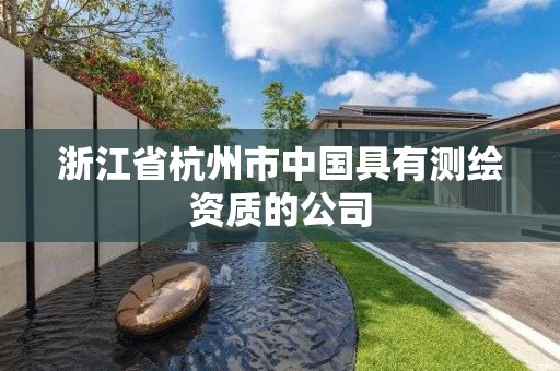 浙江省杭州市中國具有測繪資質(zhì)的公司