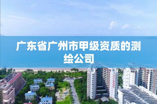 廣東省廣州市甲級資質的測繪公司