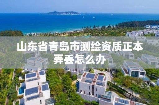 山東省青島市測繪資質(zhì)正本弄丟怎么辦