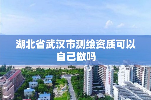 湖北省武漢市測繪資質可以自己做嗎