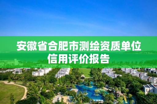 安徽省合肥市測繪資質(zhì)單位信用評價報告