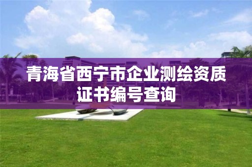 青海省西寧市企業測繪資質證書編號查詢