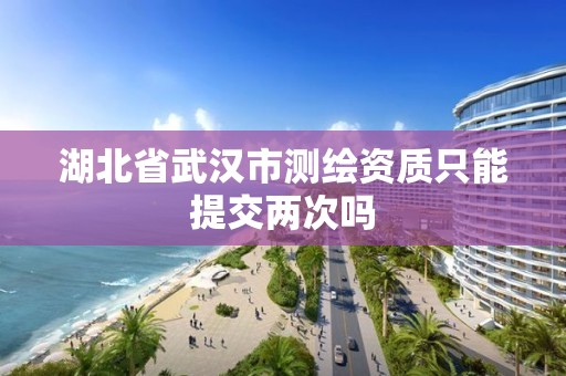 湖北省武漢市測繪資質只能提交兩次嗎