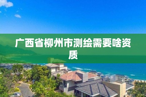 廣西省柳州市測繪需要啥資質