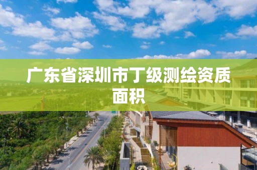 廣東省深圳市丁級測繪資質面積