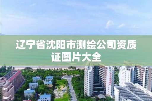 遼寧省沈陽市測繪公司資質證圖片大全