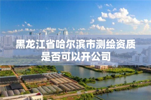 黑龍江省哈爾濱市測繪資質(zhì)是否可以開公司