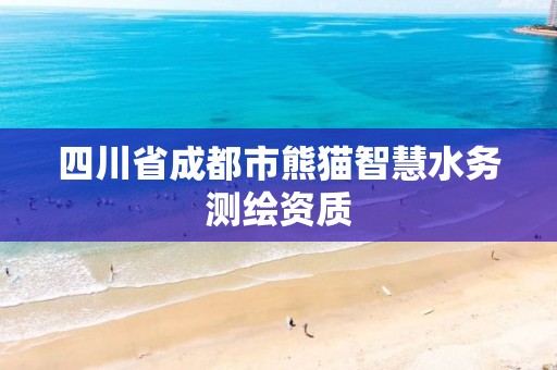 四川省成都市熊貓智慧水務測繪資質