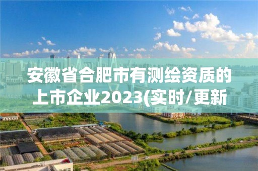 安徽省合肥市有測繪資質的上市企業2023(實時/更新中)