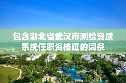 包含湖北省武漢市測繪資質系統任職資格證的詞條