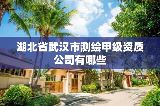 湖北省武漢市測繪甲級資質(zhì)公司有哪些