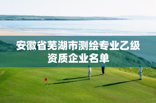 安徽省蕪湖市測繪專業(yè)乙級資質(zhì)企業(yè)名單