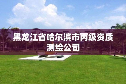 黑龍江省哈爾濱市丙級資質測繪公司