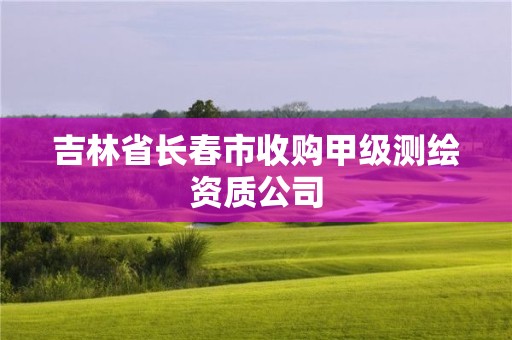 吉林省長(zhǎng)春市收購(gòu)甲級(jí)測(cè)繪資質(zhì)公司