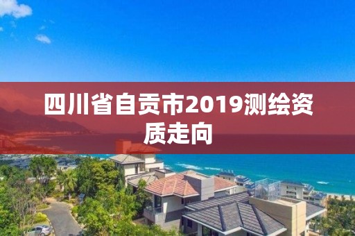 四川省自貢市2019測繪資質走向