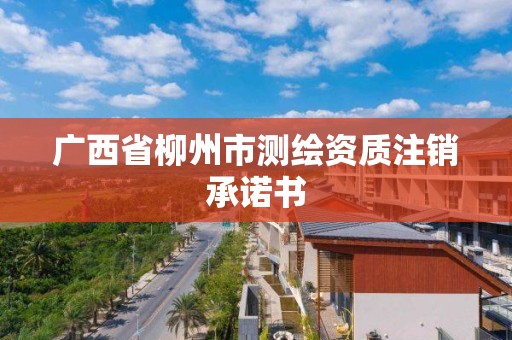 廣西省柳州市測繪資質注銷承諾書