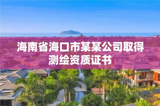 海南省海口市某某公司取得測繪資質證書