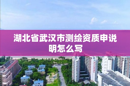 湖北省武漢市測繪資質申說明怎么寫