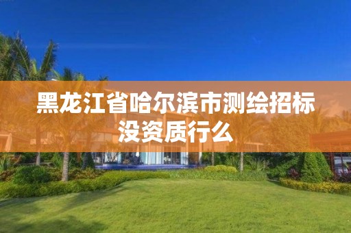 黑龍江省哈爾濱市測繪招標(biāo)沒資質(zhì)行么