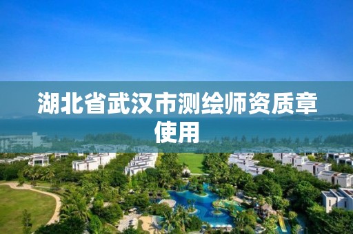 湖北省武漢市測繪師資質章使用